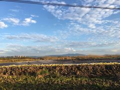 -呈贡滇池生态湿地公园