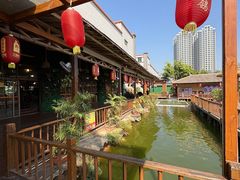 -一煲鸽