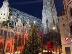 -斯蒂芬主教座堂(Stephansdom)
