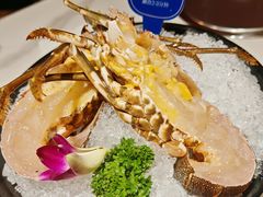 -海月轩海鲜豆捞(紫金塔店)