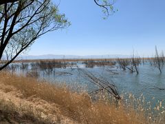 -野鸭湖国家湿地公园
