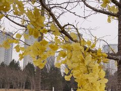 -北京园博大酒店