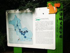 -西湖风景区-江洋畈生态公园