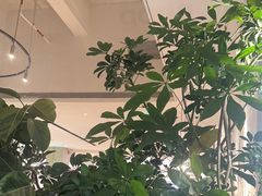 -gaga(深圳南山益田假日广场店)
