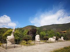 -北京十三陵国家森林公园蟒山景区
