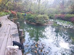 -杭州半山国家森林公园