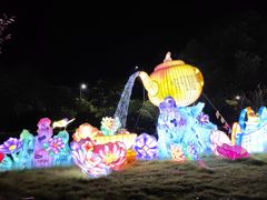 -长兴太湖图影湿地文化园