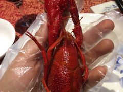 -苏州独墅湖书香世家酒店