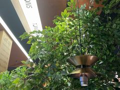 -同仁四季椰子鸡(福田车公庙店)