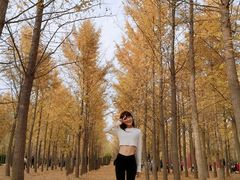 -汉景帝阳陵博物院