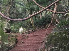 -普者黑风景区-青龙山
