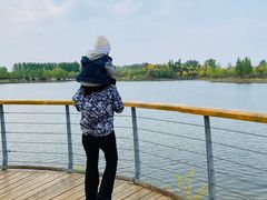 -东郊湿地公园