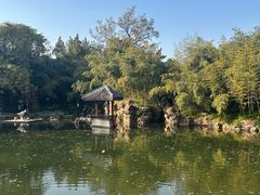 -水绘园