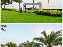 -海豚湾扬帆出海帆船游艇