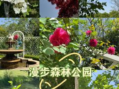 -昆山城市生态森林公园