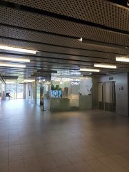 -MISS STAR·半永久纹眉·发际线·美瞳线