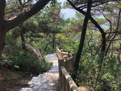-燕窝岭