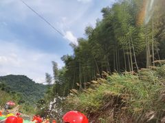 -虎啸峡漂流