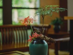 -天目湖御水温泉·度假酒店