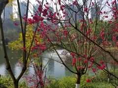 -重庆彩云湖湿地公园