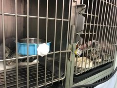 -宠颐生中康贝怡动物医院