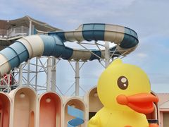 -巨鹏飞梦幻海岸