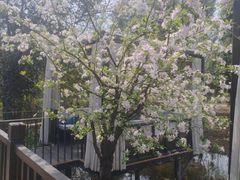 -白鹭湾湿地公园