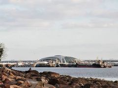 -吴淞炮台湾湿地森林公园烧烤区