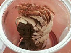 -阳澄湖大闸蟹·琼灵阁牌品牌连锁(吴中总店)