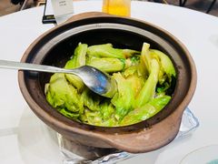 啫啫生菜煲-陶陶居酒家(第十甫路总店)