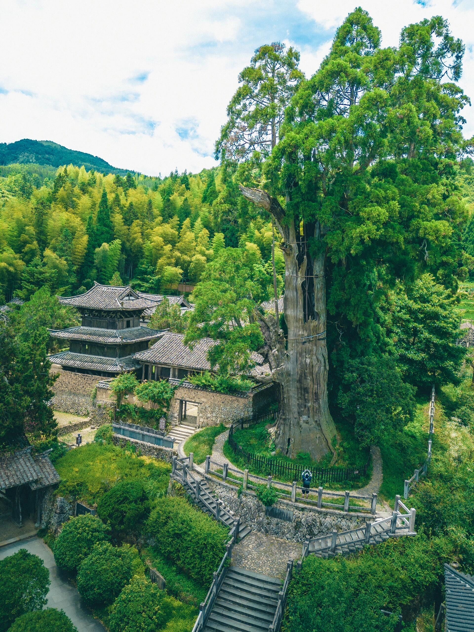 丽水千年古寺,你永远🉑️以相信老祖宗的审美