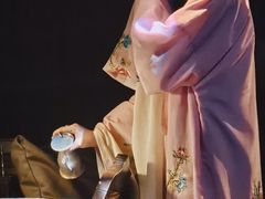 -武汉知音号