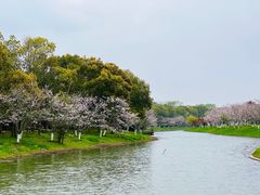-上海海湾国家森林公园