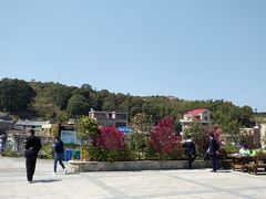 -军营村
