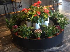 -大鸭梨烤鸭(枣园店)