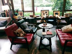 -咖法森林·咖啡  酒吧(天河店)