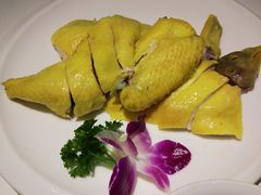 -后宫私房菜(汇客美食娱乐广场店)