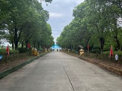 -上海都市菜园