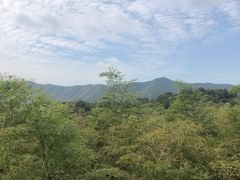 -陶祖圣境风景区