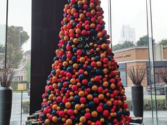 -宝丽轩中餐厅BAOLIXUAN