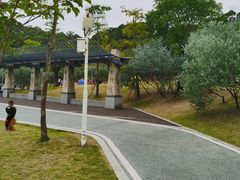 -飞凤山奥体公园