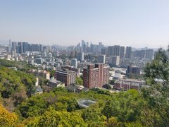 -福道