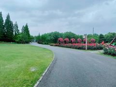 -上海滨江森林公园