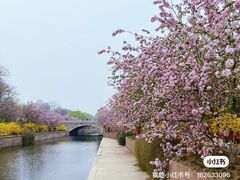 -元大都城垣遗址公园