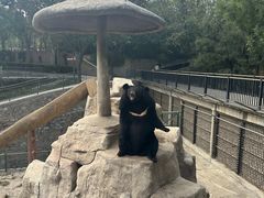 -石家庄市动物园