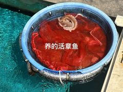 -普乐酱蟹(coex店)