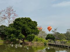 -中国科学院西双版纳热带植物园