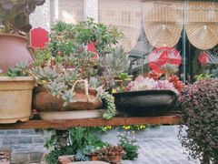 -尼玛藏家风味园(阿山食城店)