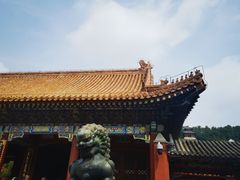-颐和园