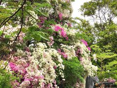 -深圳国际园林花卉博览园